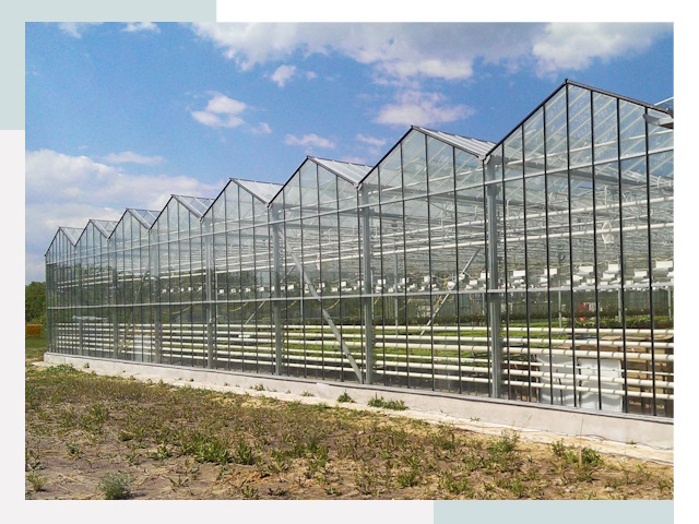 Строительство теплиц в Качканар от 615 руб. за м²